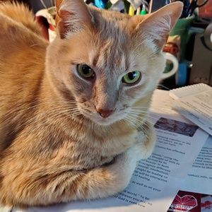 Meet your Posher, Becky